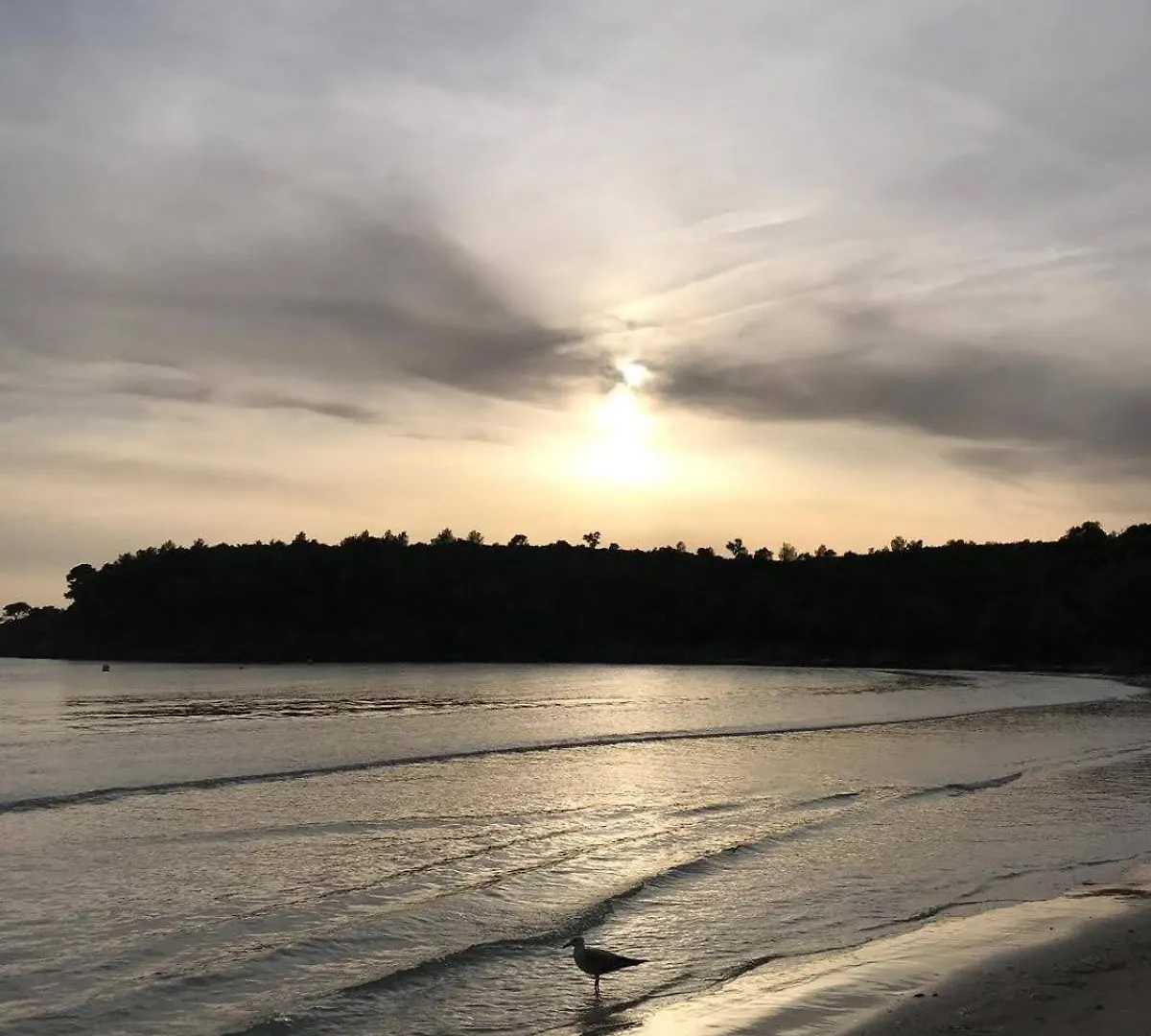 Bel Appartement Proche Plage Le Lavandou France